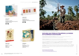 Pentágono Universal - Christmas Comerciales 2014