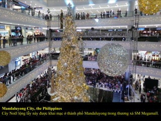 Mandaluyong City, the Philippines
Cây Noël lộng lẫy này được khai mạc ở thành phố Mandaluyong trong thương xá SM Megamall.
 