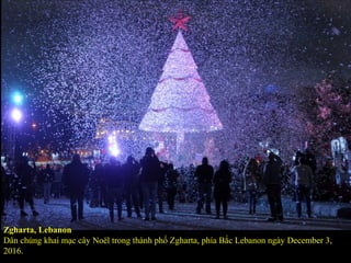 Zgharta, Lebanon
Dân chúng khai mạc cây Noël trong thành phố Zgharta, phía Bắc Lebanon ngày December 3,
2016.
 