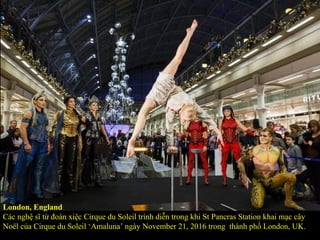 London, England
Các nghệ sĩ từ đoàn xiệc Cirque du Soleil trình diễn trong khi St Pancras Station khai mạc cây
Noël của Cirque du Soleil ‘Amaluna’ ngày November 21, 2016 trong thành phố London, UK.
 