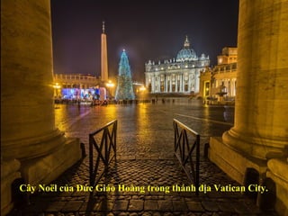 Cây Noël của Đức Giáo Hoàng trong thánh địa Vatican City.
 