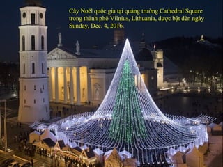 Cây Noël quốc gia tại quảng trường Cathedral Square
trong thành phố Vilnius, Lithuania, được bật đèn ngày
Sunday, Dec. 4, 2016.
 