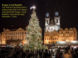 Prague, Czech Republic
Cây Noël tại Chợ Giáng Sinh ở
quảng trường Old Town Square
trong thành phố Prague, Czech
Republic, được bật đèn ngày
December 1, 2016.
 