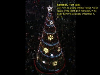 Ramallah, West Bank
Cây Noël tại quảng trường Yasser Arafat
square trong thành phố Ramallah, West
Bank được bật đèn ngày December 4,
2016.
 