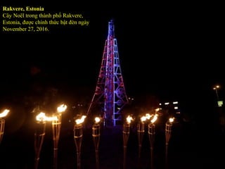 Rakvere, Estonia
Cây Noël trong thành phố Rakvere,
Estonia, được chính thức bật đèn ngày
November 27, 2016.
 