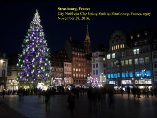 Strasbourg, France
Cây Noël của Chợ Giáng Sinh tại Strasbourg, France, ngày
November 28, 2016.
 