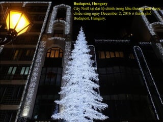 Budapest, Hungary
Cây Noël tại đại lộ chính trong khu thương mãi được
chiếu sáng ngày December 2, 2016 ở thành phố
Budapes...