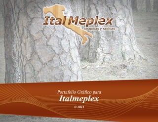 Italmeplex
© 2011
Portafolio Gráfico para
 