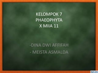 KELOMPOK 7
PHAEOPHYTA
X MIIA 11
-DINA DWI AFFIFAH
- MEISTA ASMALDA
 