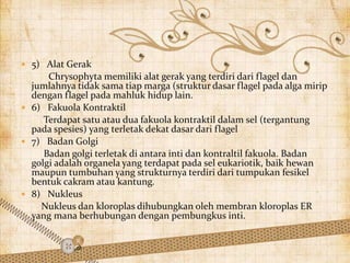  5) Alat Gerak
Chrysophyta memiliki alat gerak yang terdiri dari flagel dan
jumlahnya tidak sama tiap marga (struktur dasar flagel pada alga mirip
dengan flagel pada mahluk hidup lain.
 6) Fakuola Kontraktil
Terdapat satu atau dua fakuola kontraktil dalam sel (tergantung
pada spesies) yang terletak dekat dasar dari flagel
 7) Badan Golgi
Badan golgi terletak di antara inti dan kontraltil fakuola. Badan
golgi adalah organela yang terdapat pada sel eukariotik, baik hewan
maupun tumbuhan yang strukturnya terdiri dari tumpukan fesikel
bentuk cakram atau kantung.
 8) Nukleus
Nukleus dan kloroplas dihubungkan oleh membran kloroplas ER
yang mana berhubungan dengan pembungkus inti.
 
