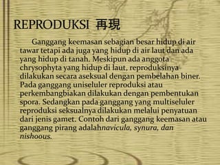 Ganggang keemasan sebagian besar hidup di air
tawar tetapi ada juga yang hidup di air laut dan ada
yang hidup di tanah. Meskipun ada anggota
chrysophyta yang hidup di laut, reproduksinya
dilakukan secara aseksual dengan pembelahan biner.
Pada ganggang uniseluler reproduksi atau
perkembangbiakan dilakukan dengan pembentukan
spora. Sedangkan pada ganggang yang multiseluler
reproduksi seksualnya dilakukan melalui penyatuan
dari jenis gamet. Contoh dari ganggang keemasan atau
ganggang pirang adalahnavicula, synura, dan
nishoous.
 