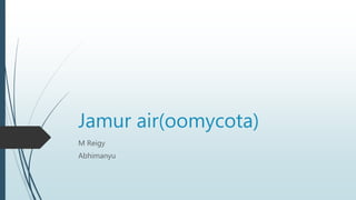 Jamur air(oomycota)
M Reigy
Abhimanyu
 