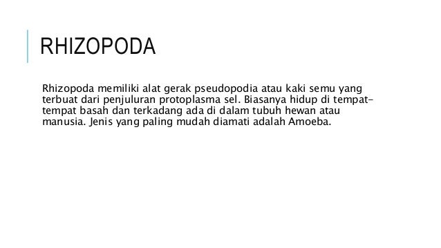 Gambar Power Point Protozoa Sporozoa Alat Gerak 11 Gambar Gambar Power Point Protozoa Sporozoa Alat Gerak 11 Gambar
