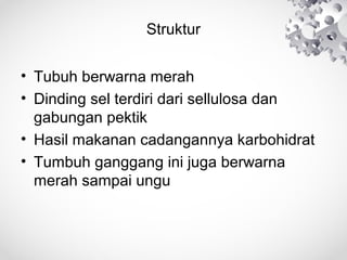 Struktur
• Tubuh berwarna merah
• Dinding sel terdiri dari sellulosa dan
gabungan pektik
• Hasil makanan cadangannya karbohidrat
• Tumbuh ganggang ini juga berwarna
merah sampai ungu
 