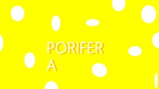 Menurut asal katanya, porifera berarti ....