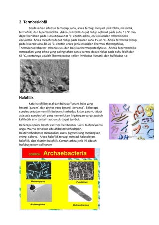 2. Termoasidofil
Berdasarkan sifatnya terhadap suhu, arkea terbagi menjadi psikrofilik, mesofilik,
termofilik, dan hipertermofilik. Arkea psikrofilik dapat hidup optimal pada suhu 15 °C dan
dapat bertahan pada suhu dibawah 0 °C, contoh arkea jenis ini adalah Polaromonas
vacuolata. Arkea mesofilik dapat hidup pada kisaran suhu 15-45 °C. Arkea termofilik hidup
pada kisaran suhu 40-70 °C, contoh arkea jenis ini adalah Thermus thermophilus,
Thermoanaerobacter ethanolicus, dan Bacillus thermoproteolyticus. Arkrea hipertemofilik
merupakan yang arkea yang paling tahan panas karena dapat hidup pada suhu lebih dari
65 °C, contohnya adalah Thermococcus celler, Pyrolobus fumarii, dan Sulfolobus sp
Halofilik
Kata halofil berasal dari bahasa Yunani, halo yang
berarti ‘garam’, dan phylos yang berarti ‘pencinta’. Beberapa
spesies sekadar memiliki toleransi terhadap kadar garam, tetapi
ada pula spesies lain yang memerlukan lingkungan yang sepuluh
kali lebih asin dari air laut untuk dapat tumbuh.
Beberapa koloni halofil ekstrim membentuk suatu buih bewarna
ungu. Warna tersebut adalah bakteriorhodopsin.
Bakteriorhodopsin merupakan suatu pigmen yang menangkap
energi cahaya. Arkea halofilik terbagi menjadi halotoleran,
halofilik, dan ekstrim halofilik. Contoh arkea jenis ini adalah
Halobacterium salinarum
 