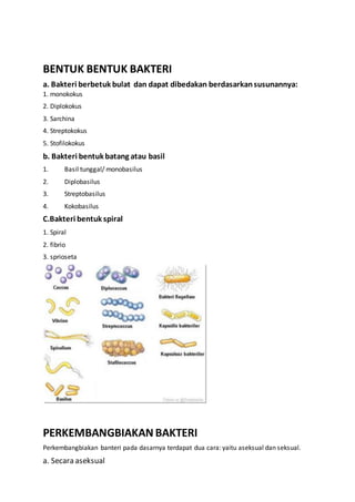 BENTUK BENTUK BAKTERI
a. Bakteri berbetuk bulat dan dapat dibedakan berdasarkansusunannya:
1. monokokus
2. Diplokokus
3. Sarchina
4. Streptokokus
5. Stofilokokus
b. Bakteri bentuk batang atau basil
1. Basil tunggal/ monobasilus
2. Diplobasilus
3. Streptobasilus
4. Kokobasilus
C.Bakteri bentuk spiral
1. Spiral
2. fibrio
3. sprioseta
PERKEMBANGBIAKAN BAKTERI
Perkembangbiakan banteri pada dasarnya terdapat dua cara: yaitu aseksual dan seksual.
a. Secara aseksual
 