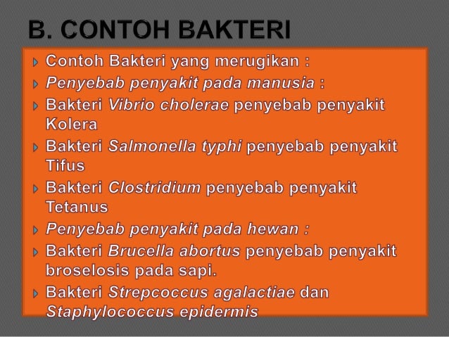 Archeabacteria Dan Bakteri