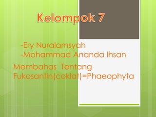 -Ery Nuralamsyah
-Mohammad Ananda Ihsan
Membahas Tentang
Fukosantin(coklat)=Phaeophyta
 