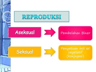 Pembelahan Biner
Penyatuan inti sel
vegetatif
(konjugasi)