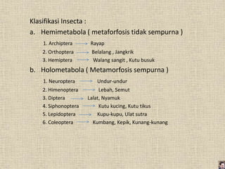 Klasifikasi Insecta :
a. Hemimetabola ( metaforfosis tidak sempurna )
1. Archiptera Rayap
2. Orthoptera Belalang , Jangkrik
3. Hemiptera Walang sangit , Kutu busuk
b. Holometabola ( Metamorfosis sempurna )
1. Neuroptera Undur-undur
2. Himenoptera Lebah, Semut
3. Diptera Lalat, Nyamuk
4. Siphonoptera Kutu kucing, Kutu tikus
5. Lepidoptera Kupu-kupu, Ulat sutra
6. Coleoptera Kumbang, Kepik, Kunang-kunang
 