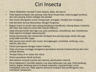 Ciri Insecta
• Tubuh dibedakan menjadi 3 yaitu kepala, dada, dan perut
• Pada kepala terdapat satu pasang mata facet (majemuk), mata tunggal (ocellus),
dan satu pasang antena sebagai alat peraba
• Alat mulut difungsikan untuk mengunyah, mengigit, menjilat dan mengisap
• Kaki berubah bentuk disesuaikan dengan fungsinya
• Bagian mulut ini terdiri atas rahang belakang (mandibula), rahang depan (maksila),
dan bibir atas (labrum) serta bibir bawah (labium)
• Dada (thorax) terdiri dari tiga ruas yaitu prothorax, mesothorax, dan metathorax.
Pada segmen terdapat sepasang kaki.
• Setiap mesotoraks dan metatoraks terdapat dua pasang sayap, tetapi ada juga
yang tidak memiliki sayap
• Alat pencernaan terdiri dari mulut, kerongkongan, tembolok, lambung, usus,
rektum, dan anus
• Sistem pernapasan dengan sistem trakhea
• Pada umumnya serangga mengalami perubahan bentuk (metamorfosis) dari telur
sampai dewasa
• Tempat hidup di air tawar dan darat
• Sistem peredaran darah terbuka
• Alat kelamin terpisah (jantan dan betina), pembuahan internal
• Perut (abdomen) memiliki sebelas ruas atau beberapa ruas saja. Pada belalang
betina, bagian belakang perut terdapat ovipositor yang berfungsi untuk
meletakkan telurnya. Pada segmen pertama terdapat alat pendengaran atau
membram Tympanum.
 