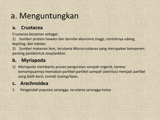 a. Crustacea
Crustacea berperan sebagai:
1) Sumber protein hewani dan bernilai ekonomis tinggi, contohnya udang,
kepiting, dan lobster.
2) Sumber makanan ikan, terutama Microcrustacea yang merupakan komponen
penting pembentuk zooplankton.
b. Myriapoda
1) Myriapoda membantu proses penguraian sampah organik, karena
kemampuannya memakan-partikel-partikel sampah (detritus) menjadi partikel
yang lebih kecil, contoh luwing/lipan,
c. Arachnoidea
1. Pengendali populasi serangga, terutama serangga hama
a. Menguntungkan
 