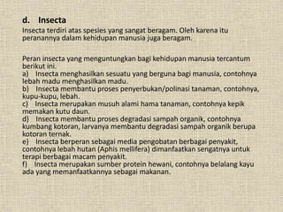 d. Insecta
Insecta terdiri atas spesies yang sangat beragam. Oleh karena itu
peranannya dalam kehidupan manusia juga beragam.
Peran insecta yang menguntungkan bagi kehidupan manusia tercantum
berikut ini.
a) Insecta menghasilkan sesuatu yang berguna bagi manusia, contohnya
lebah madu menghasilkan madu.
b) Insecta membantu proses penyerbukan/polinasi tanaman, contohnya,
kupu-kupu, lebah.
c) Insecta merupakan musuh alami hama tanaman, contohnya kepik
memakan kutu daun.
d) Insecta membantu proses degradasi sampah organik, contohnya
kumbang kotoran, larvanya membantu degradasi sampah organik berupa
kotoran ternak.
e) Insecta berperan sebagai media pengobatan berbagai penyakit,
contohnya lebah hutan (Aphis mellifera) dimanfaatkan sengatnya untuk
terapi berbagai macam penyakit.
f) Insecta merupakan sumber protein hewani, contohnya belalang kayu
ada yang memanfaatkannya sebagai makanan.
 