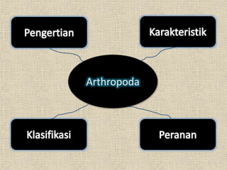 Arthropoda
 