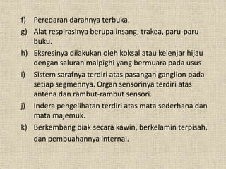 f) Peredaran darahnya terbuka.
g) Alat respirasinya berupa insang, trakea, paru-paru
buku.
h) Eksresinya dilakukan oleh koksal atau kelenjar hijau
dengan saluran malpighi yang bermuara pada usus
i) Sistem sarafnya terdiri atas pasangan ganglion pada
setiap segmennya. Organ sensorinya terdiri atas
antena dan rambut-rambut sensori.
j) Indera pengelihatan terdiri atas mata sederhana dan
mata majemuk.
k) Berkembang biak secara kawin, berkelamin terpisah,
dan pembuahannya internal.
 