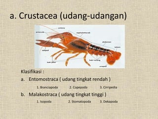 Klasifikasi :
a. Entomostraca ( udang tingkat rendah )
1. Branciapoda 2. Copepoda 3. Cirripedia
b. Malakostraca ( udang tingkat tinggi )
1. Isopoda 2. Stomatopoda 3. Dekapoda
a. Crustacea (udang-udangan)
 