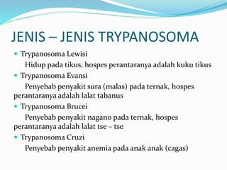 JENIS – JENIS TRYPANOSOMA
 Trypanosoma Lewisi
Hidup pada tikus, hospes perantaranya adalah kuku tikus
 Trypanosoma Evansi
Penyebab penyakit sura (malas) pada ternak, hospes
perantaranya adalah lalat tabanus
 Trypanosoma Brucei
Penyebab penyakit nagano pada ternak, hospes
perantaranya adalah lalat tse – tse
 Trypanosoma Cruzi
Penyebab penyakit anemia pada anak anak (cagas)
 