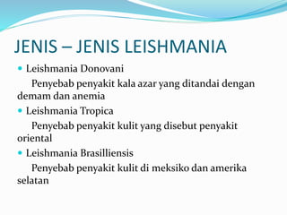 JENIS – JENIS LEISHMANIA
 Leishmania Donovani
Penyebab penyakit kala azar yang ditandai dengan
demam dan anemia
 Leishmania Tropica
Penyebab penyakit kulit yang disebut penyakit
oriental
 Leishmania Brasilliensis
Penyebab penyakit kulit di meksiko dan amerika
selatan
 