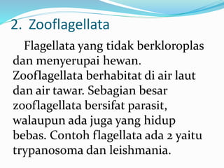 2. Zooflagellata
Flagellata yang tidak berkloroplas
dan menyerupai hewan.
Zooflagellata berhabitat di air laut
dan air tawar. Sebagian besar
zooflagellata bersifat parasit,
walaupun ada juga yang hidup
bebas. Contoh flagellata ada 2 yaitu
trypanosoma dan leishmania.
 