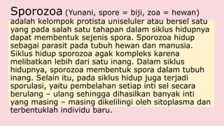 Sporozoa (Yunani, spore = biji, zoa = hewan)
adalah kelompok protista uniseluler atau bersel satu
yang pada salah satu tahapan dalam siklus hidupnya
dapat membentuk sejenis spora. Sporozoa hidup
sebagai parasit pada tubuh hewan dan manusia.
Siklus hidup sporozoa agak kompleks karena
melibatkan lebih dari satu inang. Dalam siklus
hidupnya, sporozoa membentuk spora dalam tubuh
inang. Selain itu, pada siklus hidup juga terjadi
sporulasi, yaitu pembelahan setiap inti sel secara
berulang – ulang sehingga dihasilkan banyak inti
yang masing – masing dikelilingi oleh sitoplasma dan
terbentuklah individu baru.
 