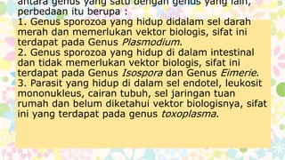 antara genus yang satu dengan genus yang lain,
perbedaan itu berupa :
1. Genus sporozoa yang hidup didalam sel darah
merah dan memerlukan vektor biologis, sifat ini
terdapat pada Genus Plasmodium.
2. Genus sporozoa yang hidup di dalam intestinal
dan tidak memerlukan vektor biologis, sifat ini
terdapat pada Genus Isospora dan Genus Eimerie.
3. Parasit yang hidup di dalam sel endotel, leukosit
mononukleus, cairan tubuh, sel jaringan tuan
rumah dan belum diketahui vektor biologisnya, sifat
ini yang terdapat pada genus toxoplasma.
 