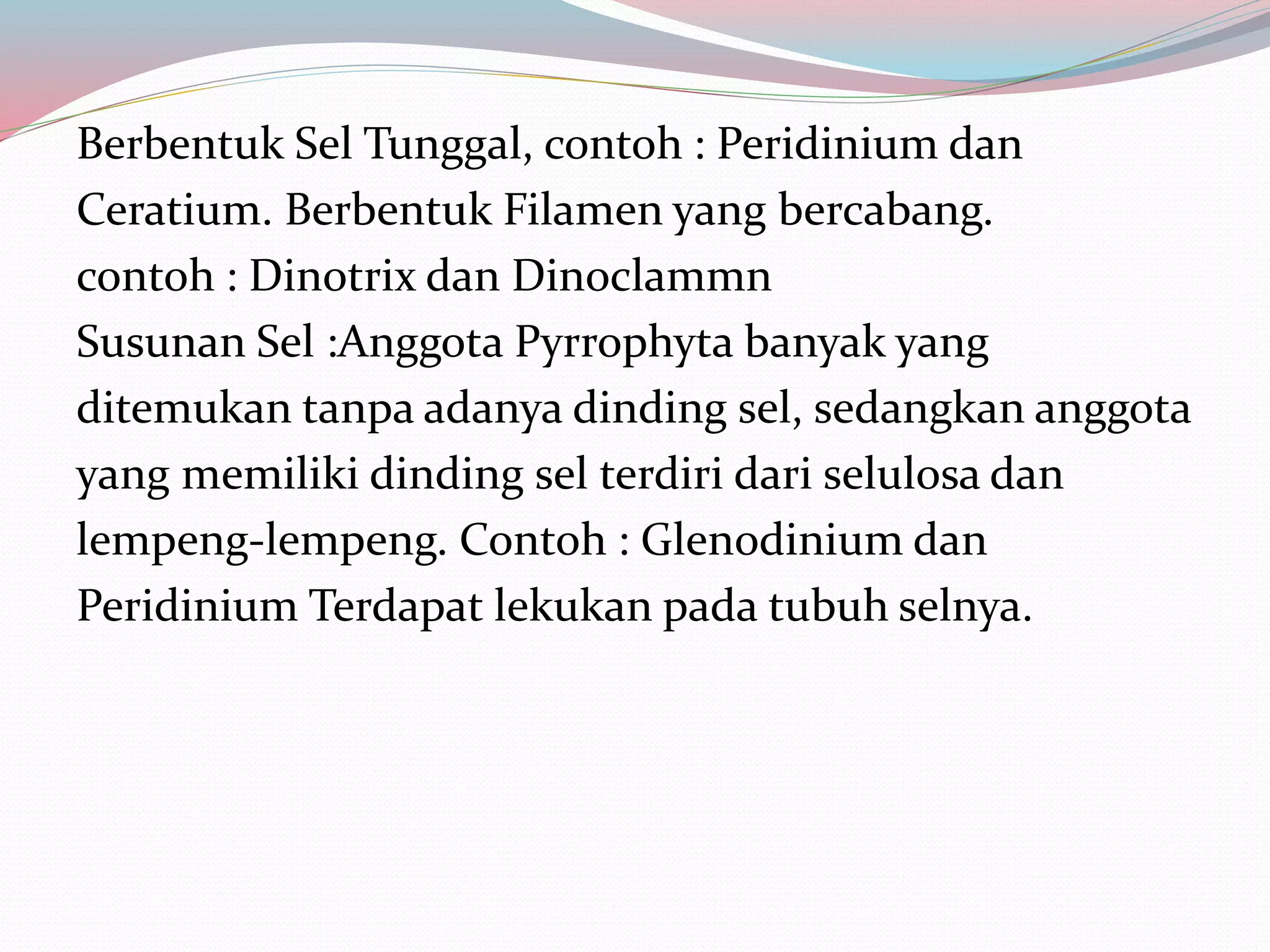 Berbentuk Sel Tunggal, contoh : Peridinium dan
Ceratium. Berbentuk Filamen yang bercabang.
contoh : Dinotrix dan Dinoclammn
Susunan Sel :Anggota Pyrrophyta banyak yang
ditemukan tanpa adanya dinding sel, sedangkan anggota
yang memiliki dinding sel terdiri dari selulosa dan
lempeng-lempeng. Contoh : Glenodinium dan
Peridinium Terdapat lekukan pada tubuh selnya.
 