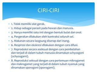  1. Tidak memiliki alat gerak.
 2. Hidup sebagai parasit pada hewan dan manusia.
 3. Hanya memiliki satu inti dengan bentuk bulat dan oval.
 4. Pergerakan dilakukan oleh kontraksi seluruh sel.
 5. Makanan secara laogsung diserap dari inang.
 6. Respirasi dan ekskresi dilakukan dengan cara difusi.
 7. Reproduksi secara aseksual dengan cara pembelahan
dan terjadi di dalam tubuh manusia dinamakan schyzogoni
(schyzogami).
 8. Reproduksi seksual dengan cara pertemuan mikrogamet
dan makrogamet yang terjadi di dalam tubuh nyamuk yang
dinamakan sporogoni (sporogami).
CIRI-CIRI
 