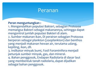 Peran menguntungkan :
1. Mengendalikan populasi Bakteri, sebagian Protozoa
memangsa Bakteri sebagai makanannya, sehingga dapat
mengontrol jumlah populasi Bakteri di alam.
2. Sumber makanan ikan, Di perairan sebagian Protozoa
berperan sebagai plankton (zooplankton) dan benthos
yang menjadi makanan hewan air, terutama udang,
kepiting, ikan, dll.
3. Indikator minyak bumi, Fosil Foraminifera menjadi
petunjuk sumber minyak, gas, dan mineral.
4. Bahan penggosok, Endapan Radiolaria di dasar laut
yang membentuk tanah radiolaria, dapat dijadikan
sebagai bahan penggosok.
Peranan
 