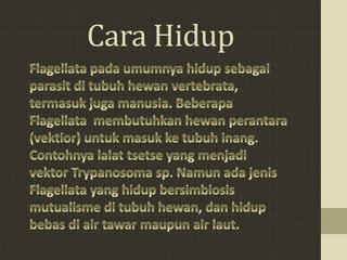 Cara Hidup
 
