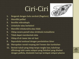 Ciri-Ciri
 