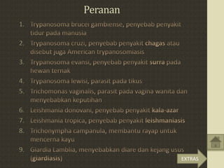 Peranan
1.
2.
3.
4.
5.
6.
7.
8.
9.
EXTRAS
 