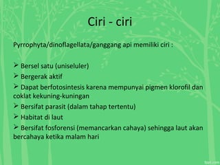 Ciri - ciri
Pyrrophyta/dinoflagellata/ganggang api memiliki ciri :
 Bersel satu (uniseluler)
 Bergerak aktif
 Dapat berfotosintesis karena mempunyai pigmen klorofil dan
coklat kekuning-kuningan
 Bersifat parasit (dalam tahap tertentu)
 Habitat di laut
 Bersifat fosforensi (memancarkan cahaya) sehingga laut akan
bercahaya ketika malam hari
 