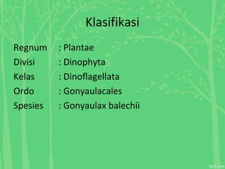 Klasifikasi
Regnum : Plantae
Divisi : Dinophyta
Kelas : Dinoflagellata
Ordo : Gonyaulacales
Spesies : Gonyaulax balechii
 