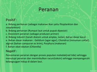 Peranan
Positif :
a. Bidang perikanan (sebagai makanan ikan yaitu fitoplankton dan
zooplankton)
b. Bidang pertanian (Rumput laut untuk pupuk dipesisir)
c. Ekosistem perairan (sebagai produsen primer)
d. Bidang industri (tanah diatom untuk amplas, isolasi, bahan dasar kaca)
e. Bahan dasar makanan : Gelidium (agar-agar), Chondrus (minuman coklat),
alginat (bahan campuran es krim), Porphyra (makanan)
f. Bahan obat-obatan (Chlorella)
Negatif :
Pencemaran perairan dengan proses populasi meledak(red tide) sehingga
menutupi perairan dan menimbulkan racun(toksin) sehingga mempengaruhi
kelangsujgan hidup di dalam laut.
 
