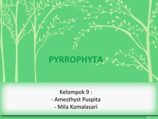 PYRROPHYTA
Kelompok 9 :
- Amesthyst Puspita
- Mila Komalasari
 