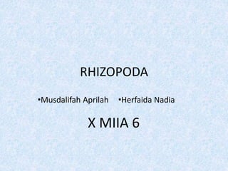 RHIZOPODA
•Musdalifah Aprilah •Herfaida Nadia
X MIIA 6
 