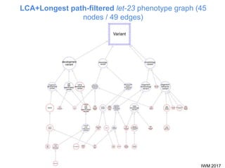 IWM 2017
LCA+Longest path-filtered let-23 phenotype graph (45
nodes / 49 edges)
 