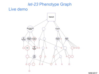 IWM 2017
let-23 Phenotype Graph
Live demo
 