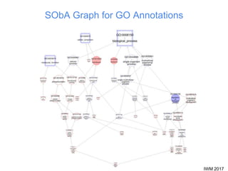 IWM 2017
SObA Graph for GO Annotations
 